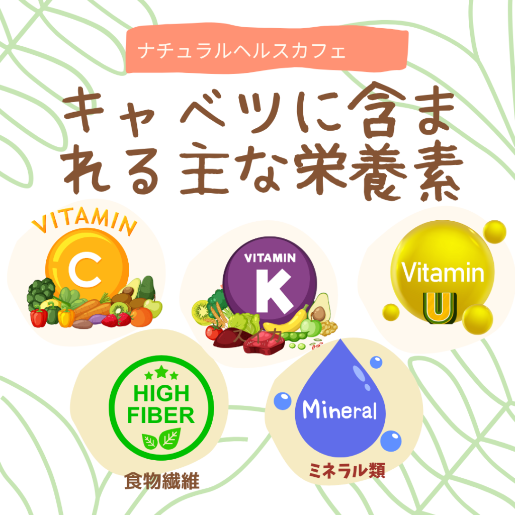 キャベツの栄養素