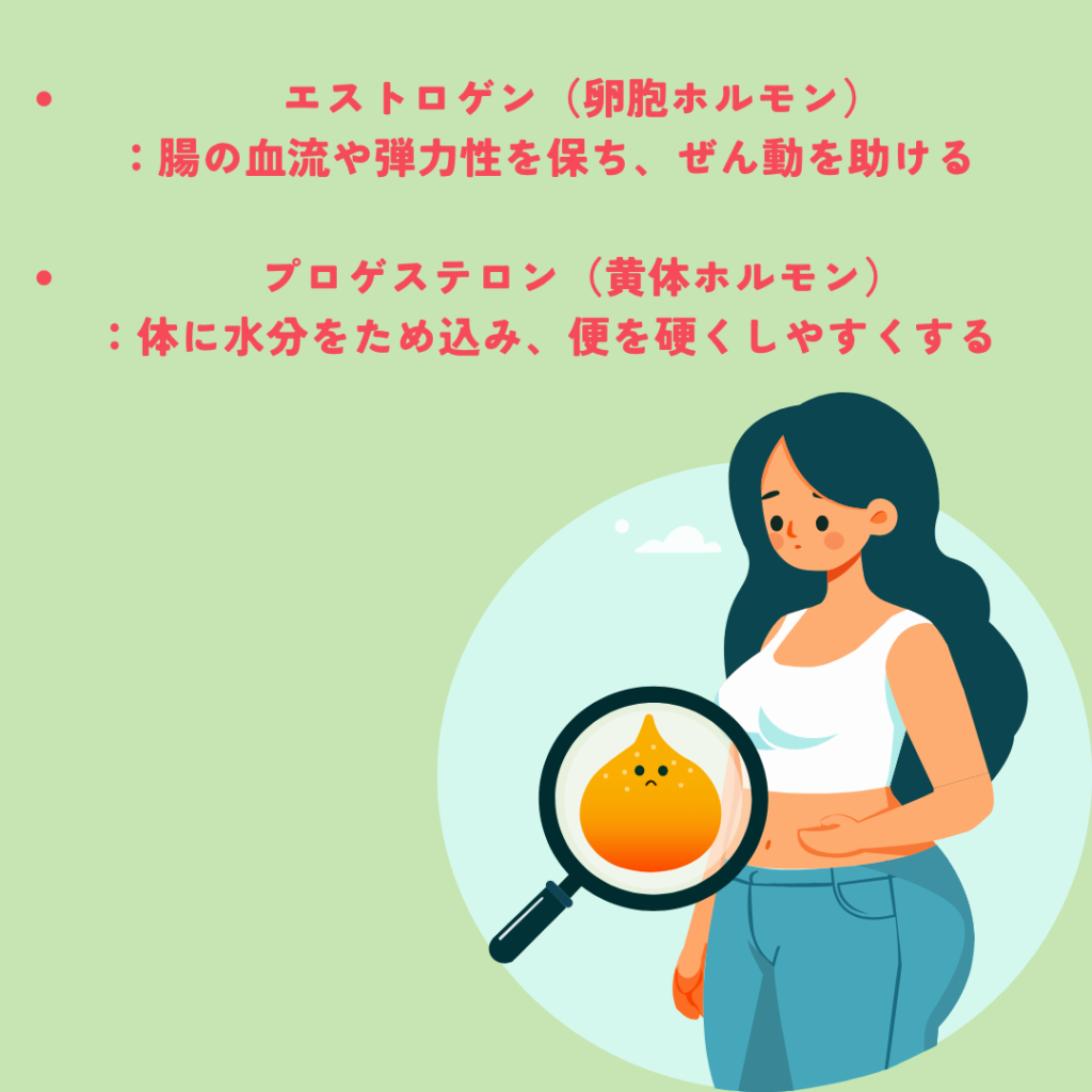 女性ホルモンを大きく分けて2つの説明